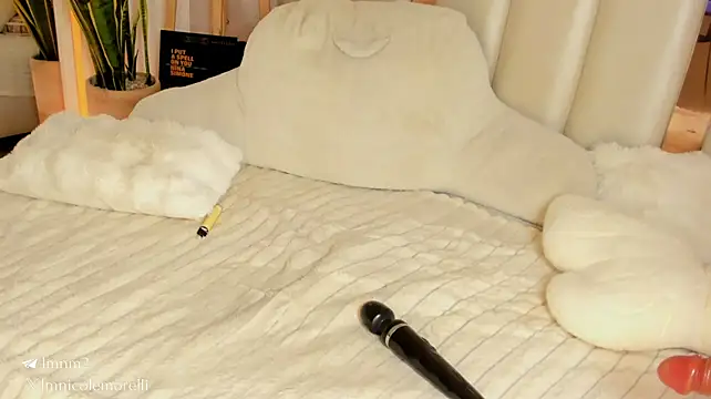 Nicolemorelli2 webcam