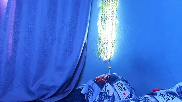 TheBatMansion webcam