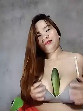 Dan-chi webcam