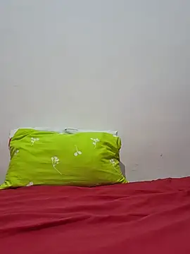 altinya webcam