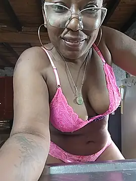 ChanneldelaCroix webcam