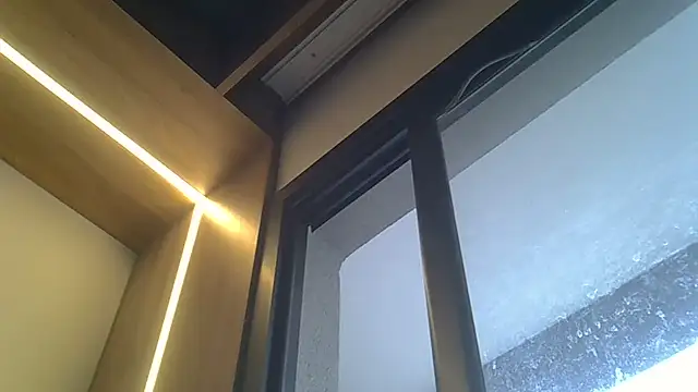 SkinnyKitten webcam