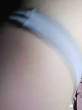 -sansan- webcam