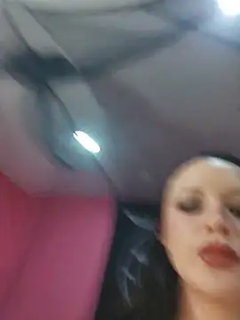EVILYN webcam