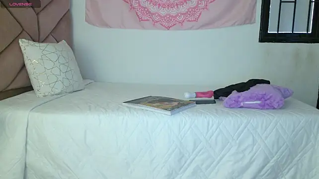 eva_sin18