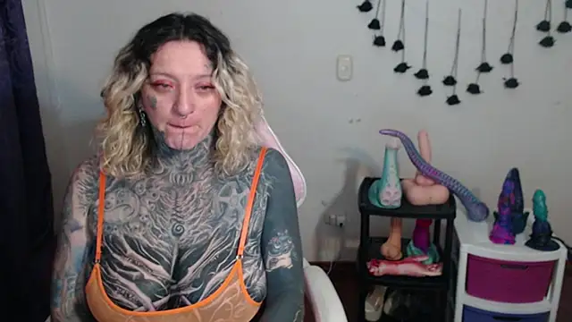 SLOPPYTITSS webcam