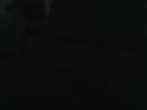 DefiniteTimor webcam