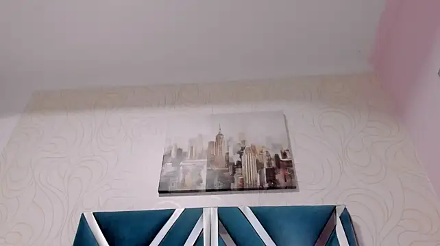 skysaenz webcam