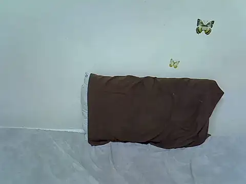berrynova webcam