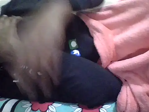 Pattite_creamer webcam