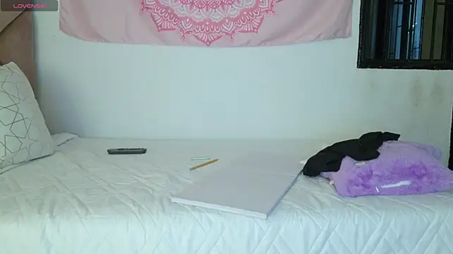 eva_sin18 webcam