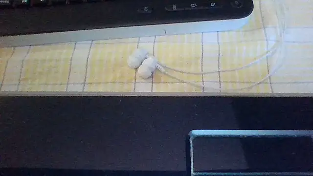 st206boy webcam