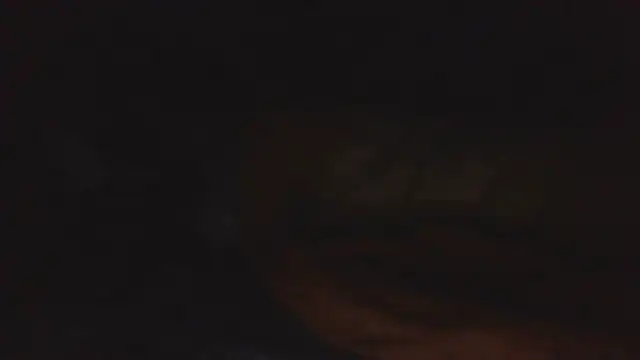 SHARPSkinhead webcam