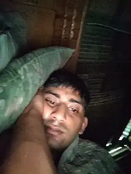 lermaalburu webcam