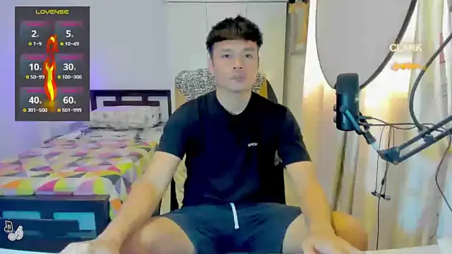 clarkdangerous webcam