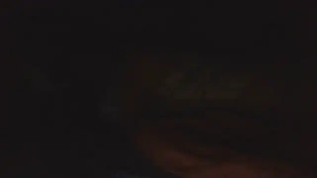 SHARPSkinhead webcam
