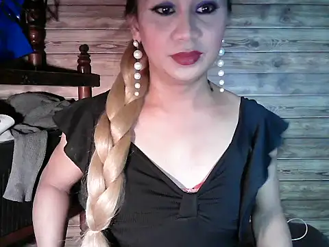 godescock webcam