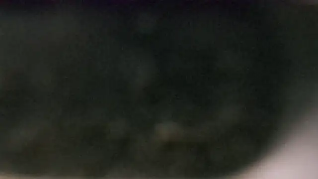 YourHotGreg webcam