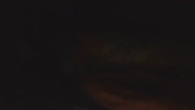 SHARPSkinhead webcam