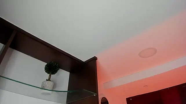 AryloverX webcam
