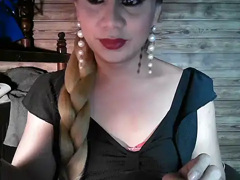 godescock webcam