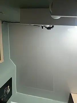 MerlinDave webcam