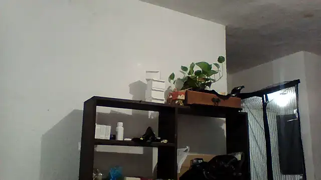 simpatico1000 webcam