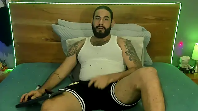 Prometeo-grizzly webcam