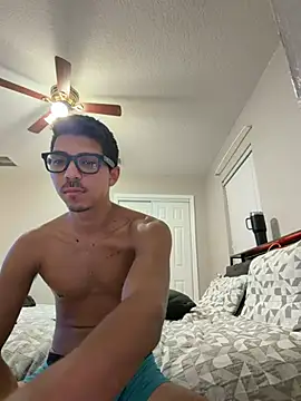 WavyAlloy30 webcam