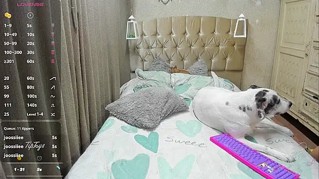 Dreams_sophi webcam