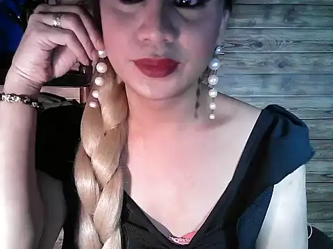 godescock webcam