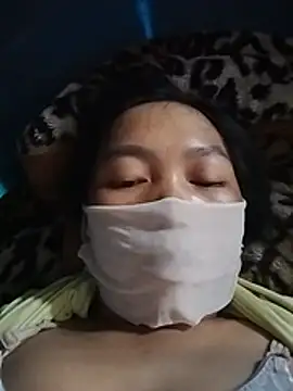 Hiha-nn webcam