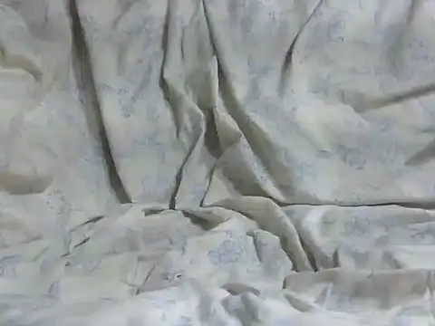 masterbbc_ webcam