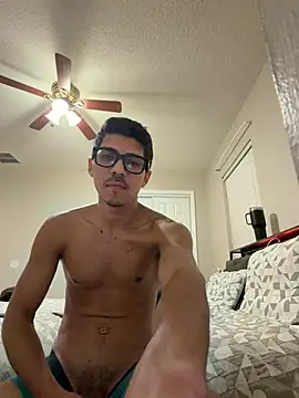 WavyAlloy30 webcam