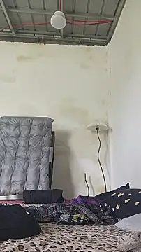 FynestBee webcam