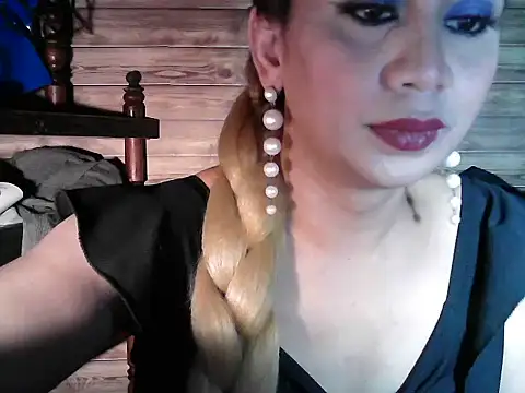 godescock webcam