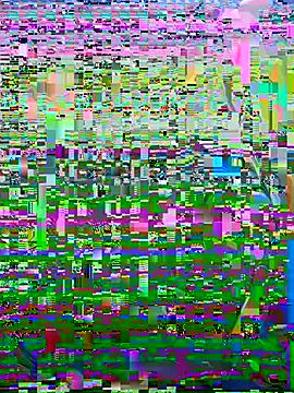 NINA2102 webcam