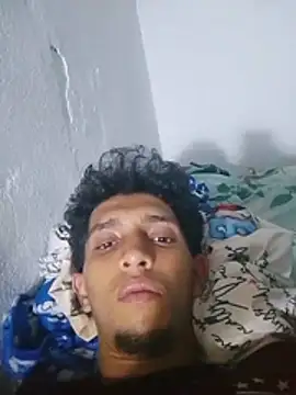 Noscay webcam