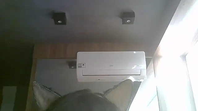 SkinnyKitten webcam