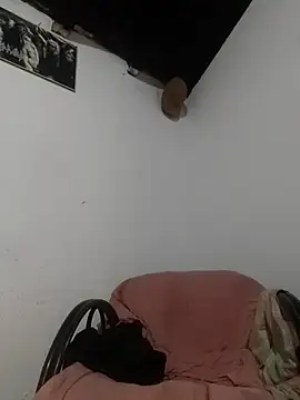 sk8-sir webcam