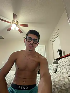 WavyAlloy30 webcam