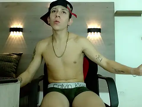 Gaeliitto webcam