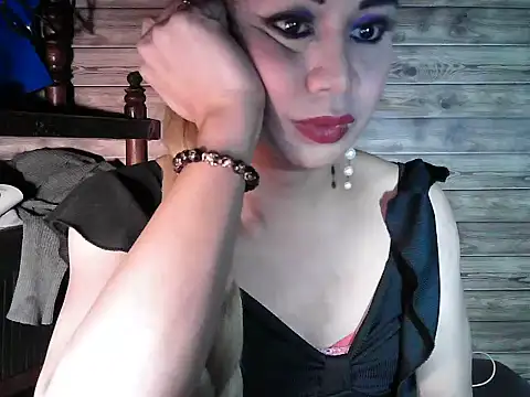 godescock webcam