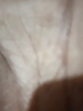 Sexydick102 webcam