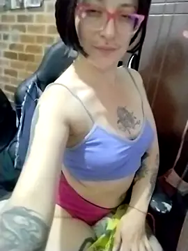 _Alaskamisa webcam