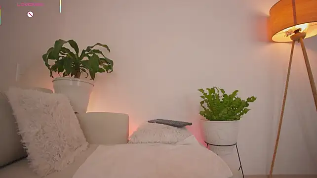 roxie_gates_ webcam