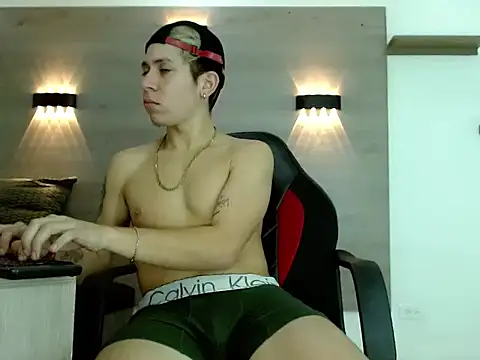 Gaeliitto webcam