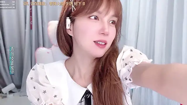hi-AnAn webcam