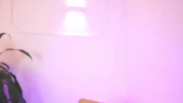 AliiceWonderland_ live sex cam