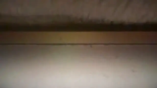 badboy366 live sex cam